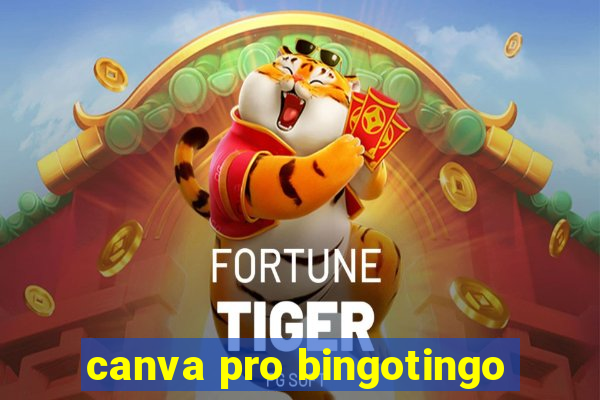 canva pro bingotingo